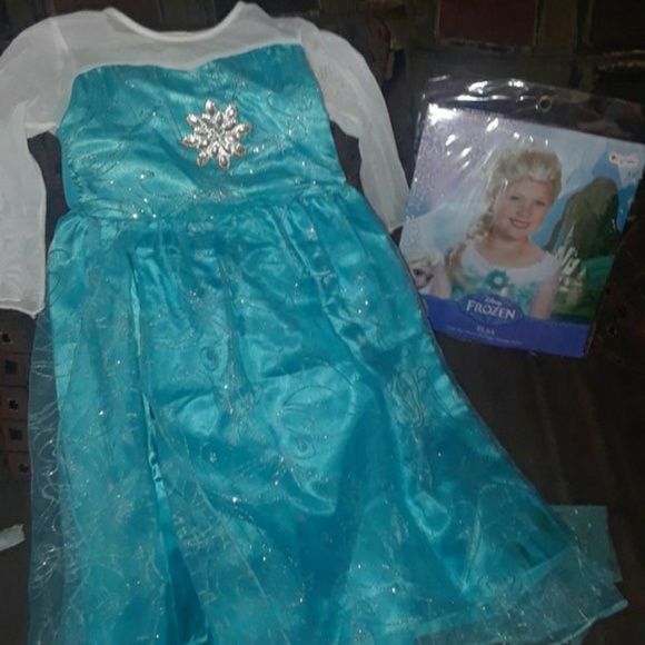 Princess Elsa costume with wig costume (Used)